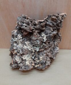 Medium Cork Flat 23