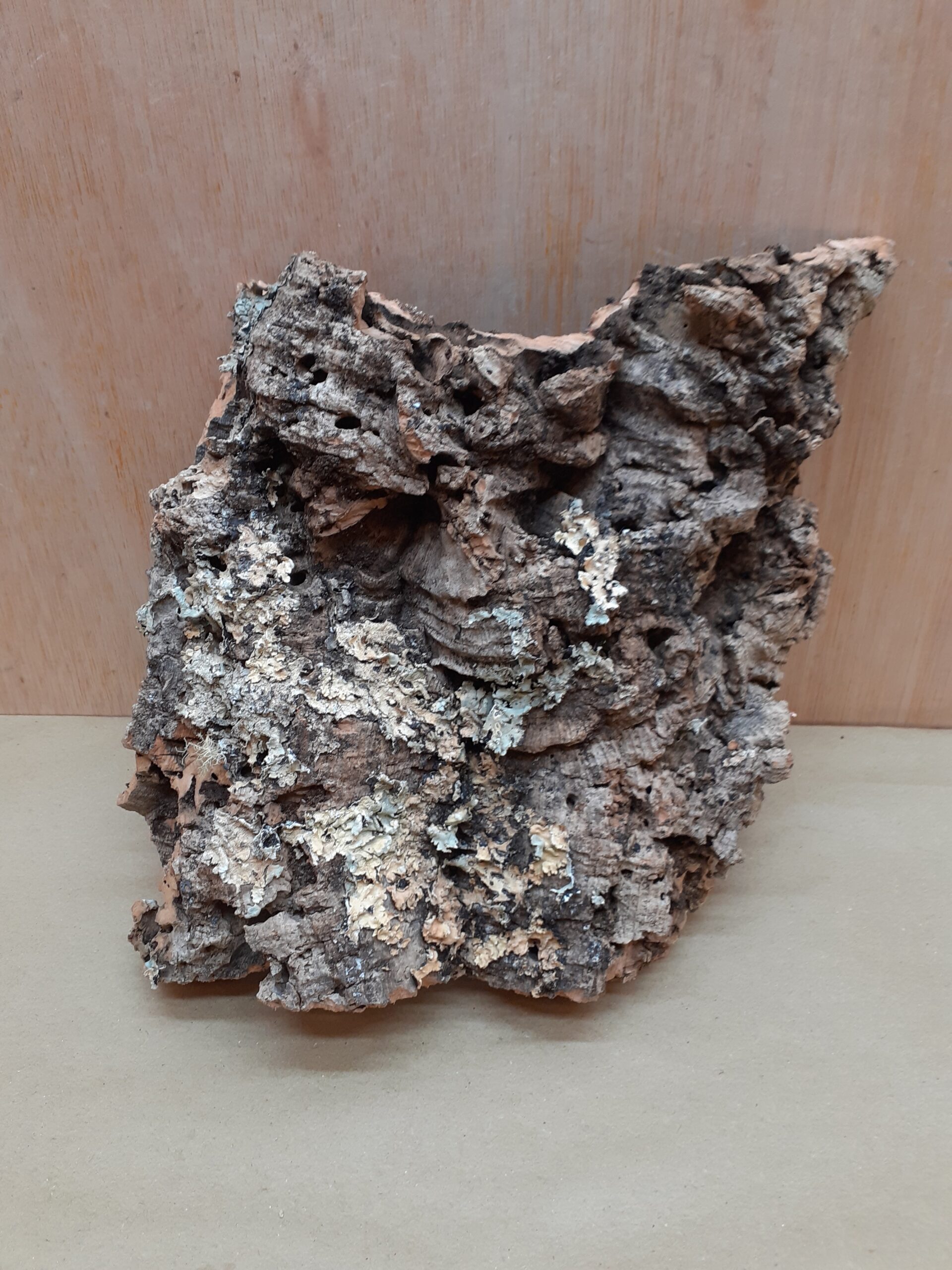 Medium Cork Flat 23