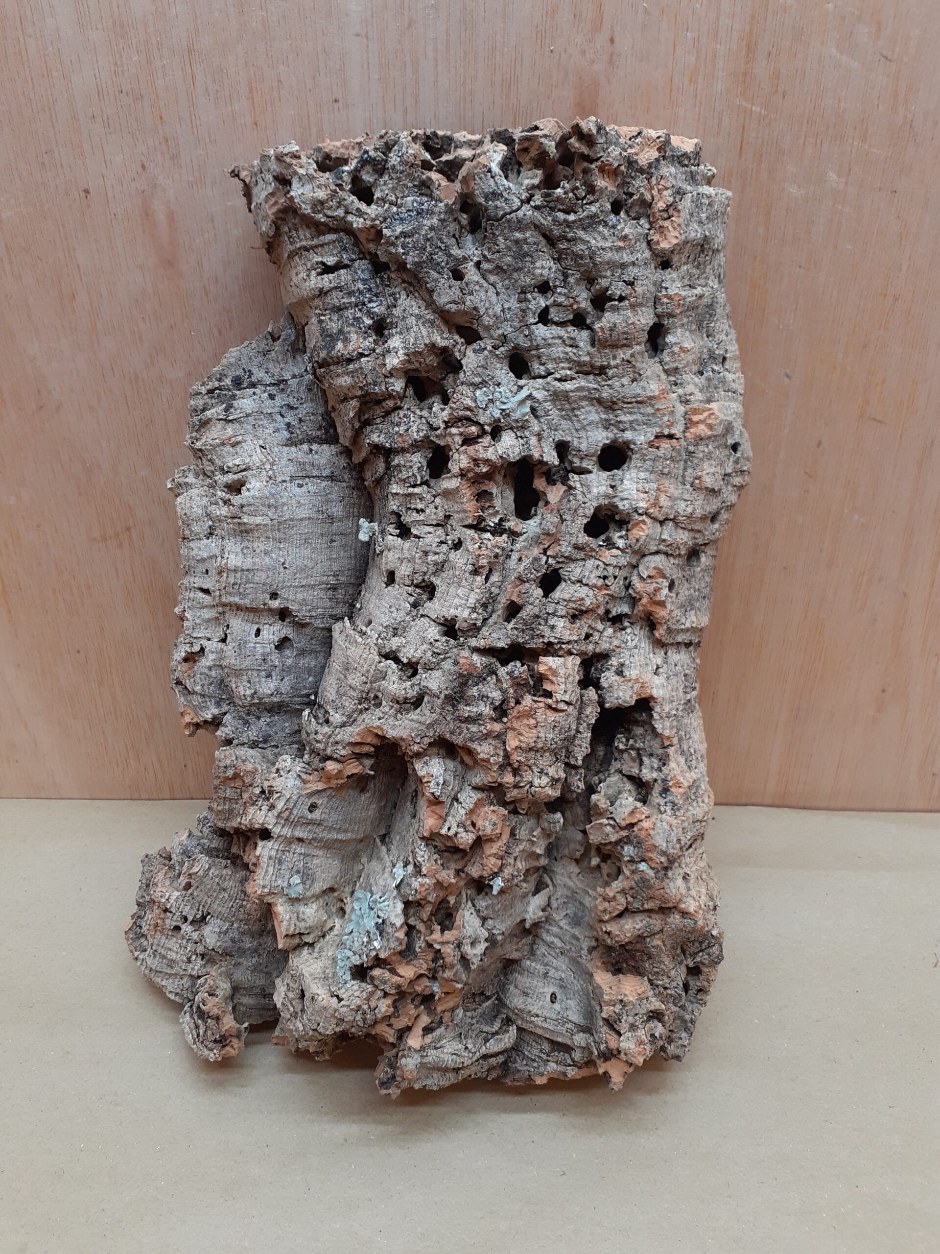 Medium Cork Flat 26
