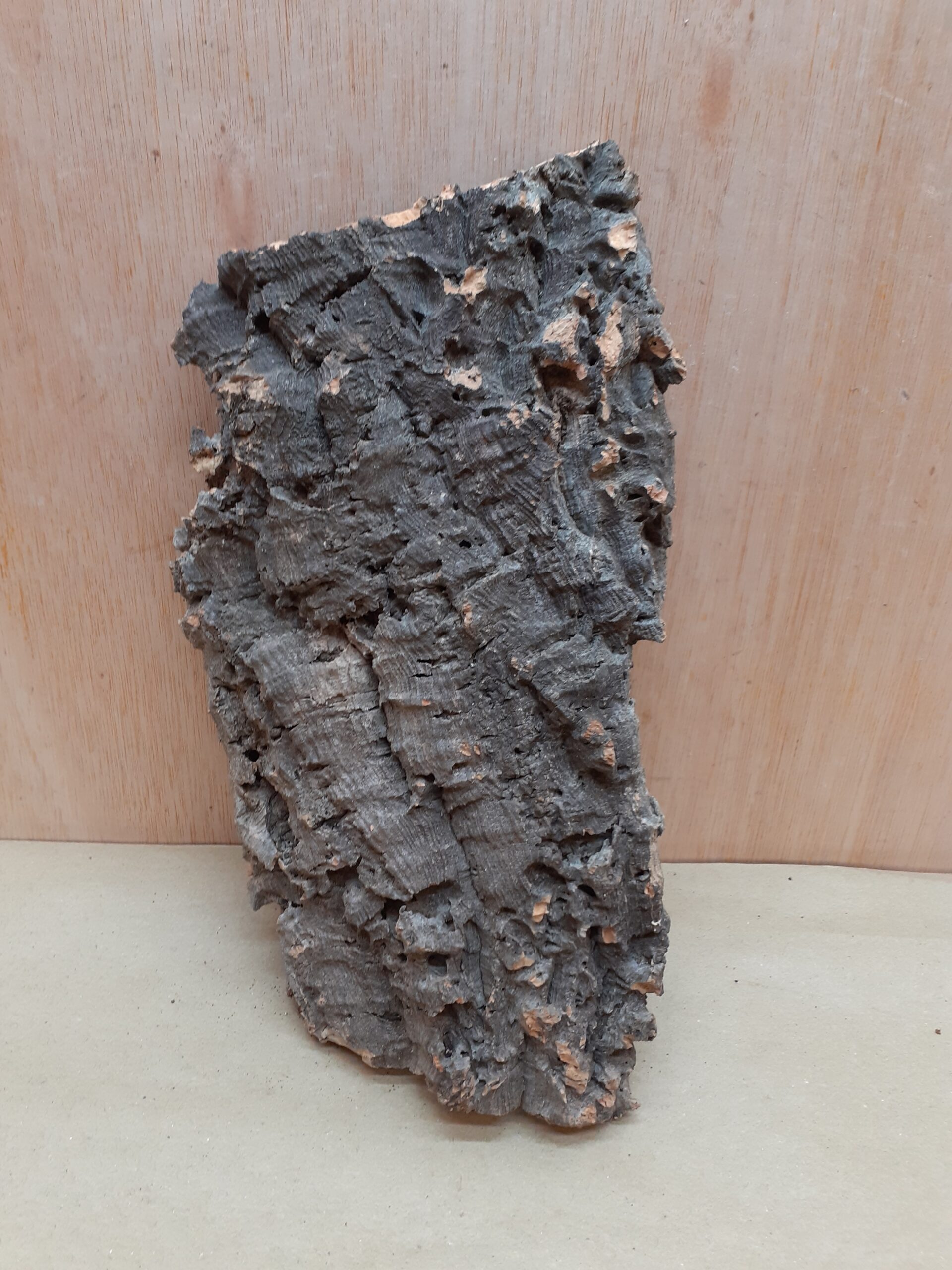 Medium Cork Flat 28