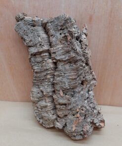 Medium Cork Flat 30