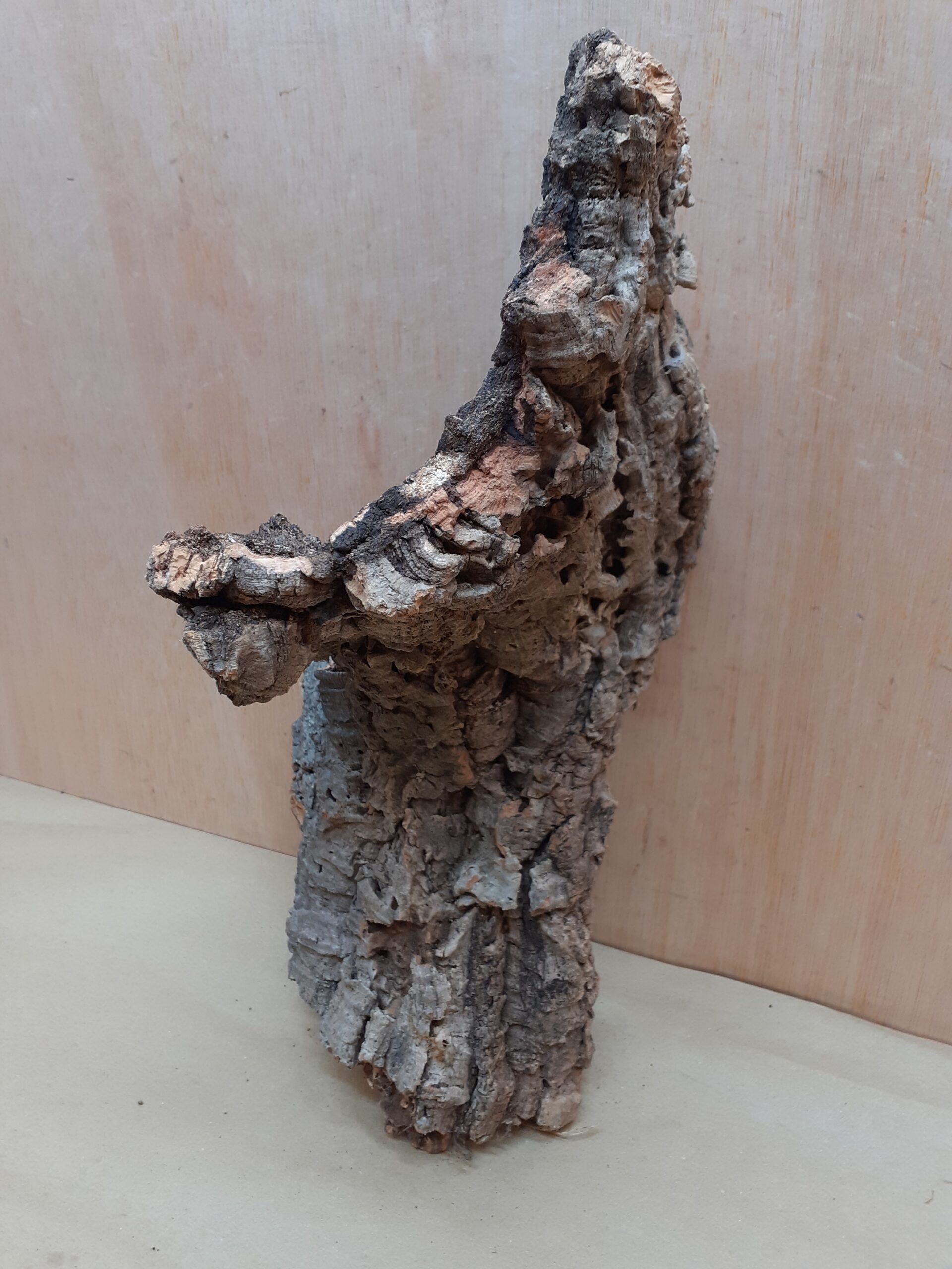 Medium Cork Flat 4
