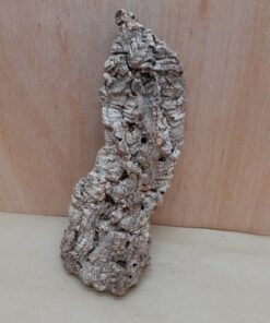 Medium Cork Flat 5