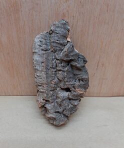 Small Cork Flat 10