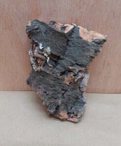 Small Cork Flat 14