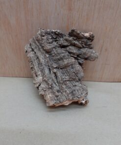 Small Cork Flat 2