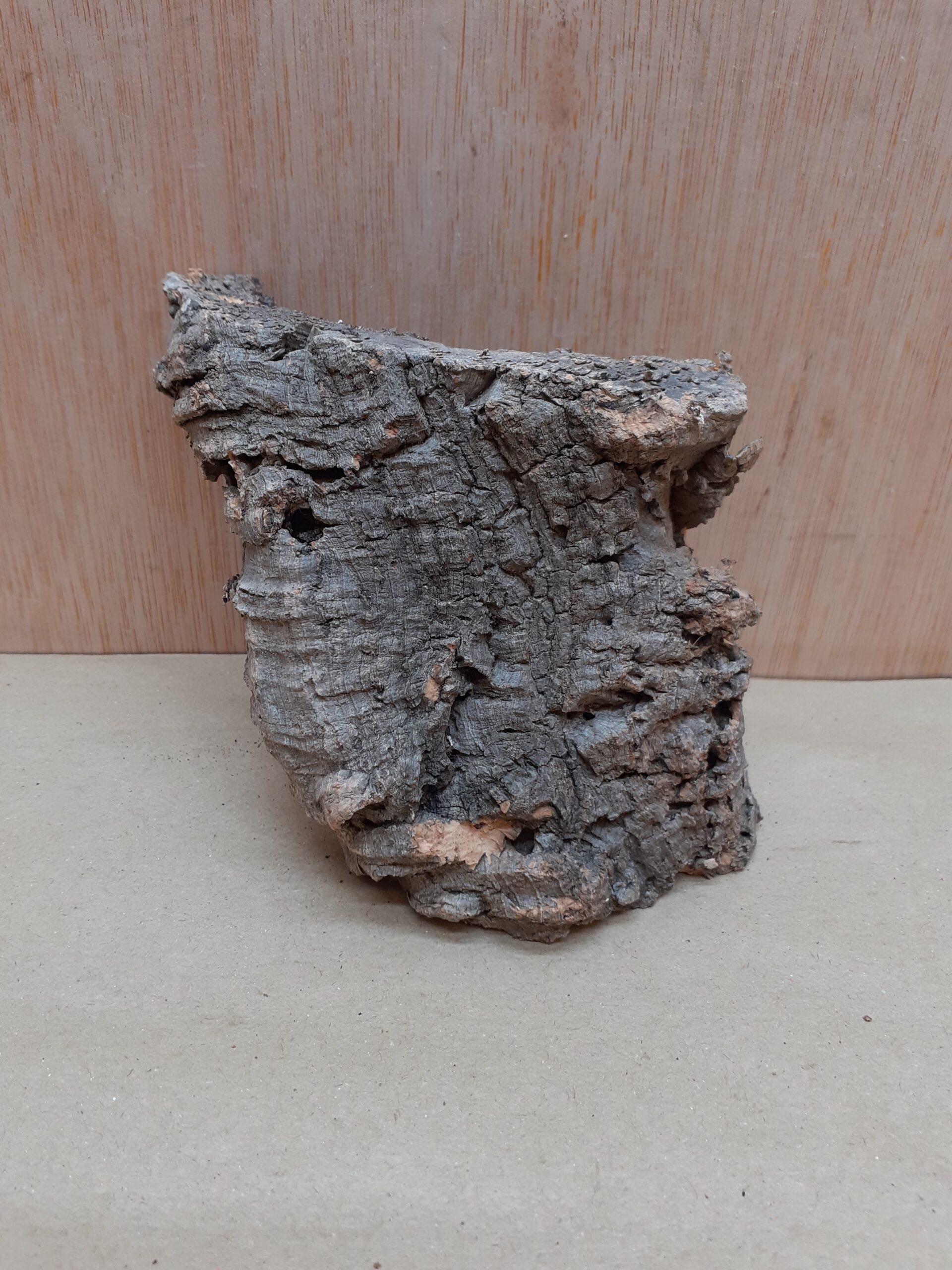 Small Cork Flat 22