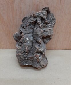 Small Cork Flat 23