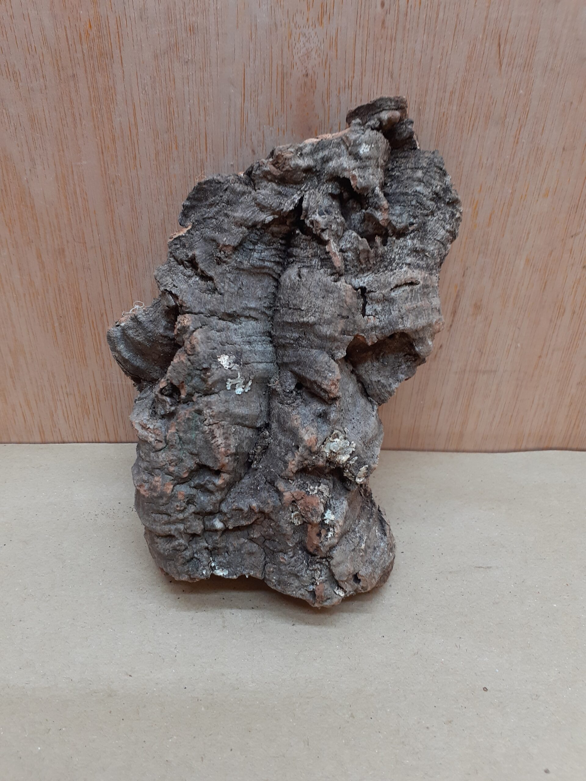 Small Cork Flat 23