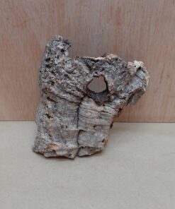 Small Cork Flat 6