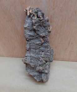 Small Cork Flat 9