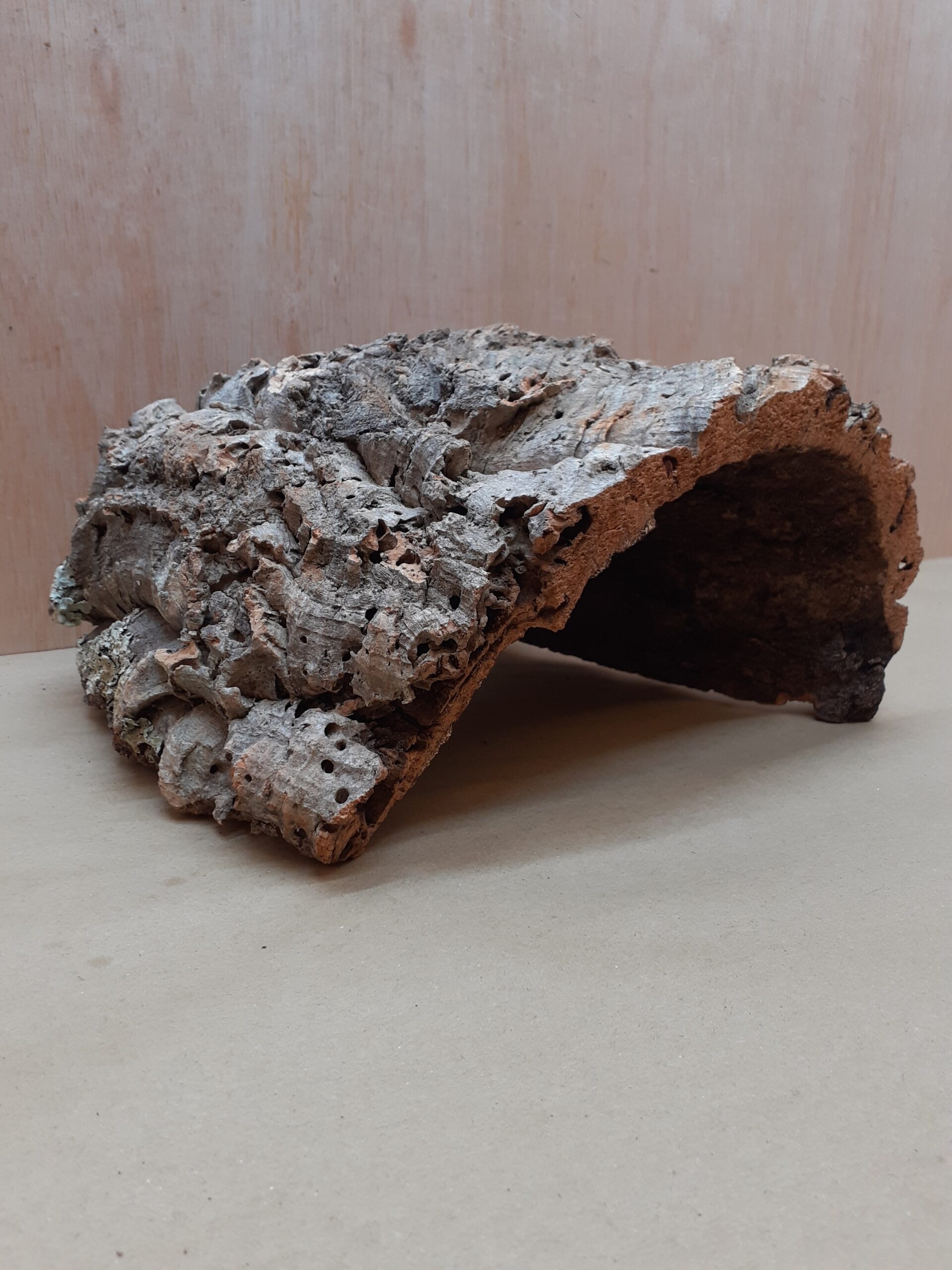 Large Cork Hide 10