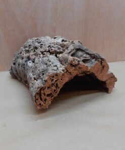 Medium Cork Hide 1