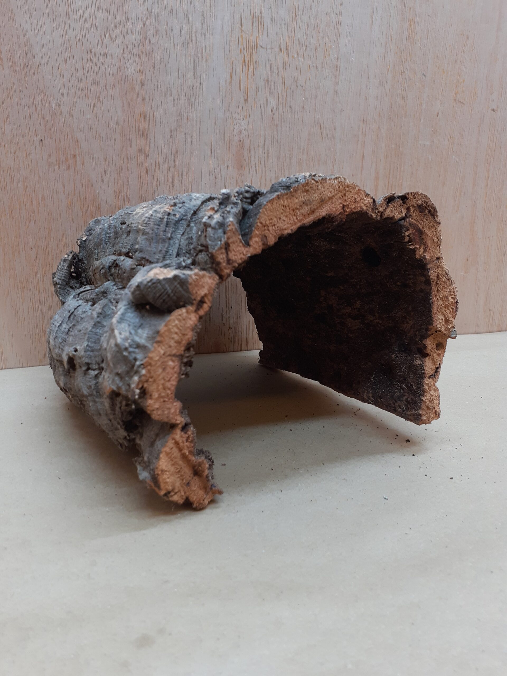 Medium Cork Hide 10