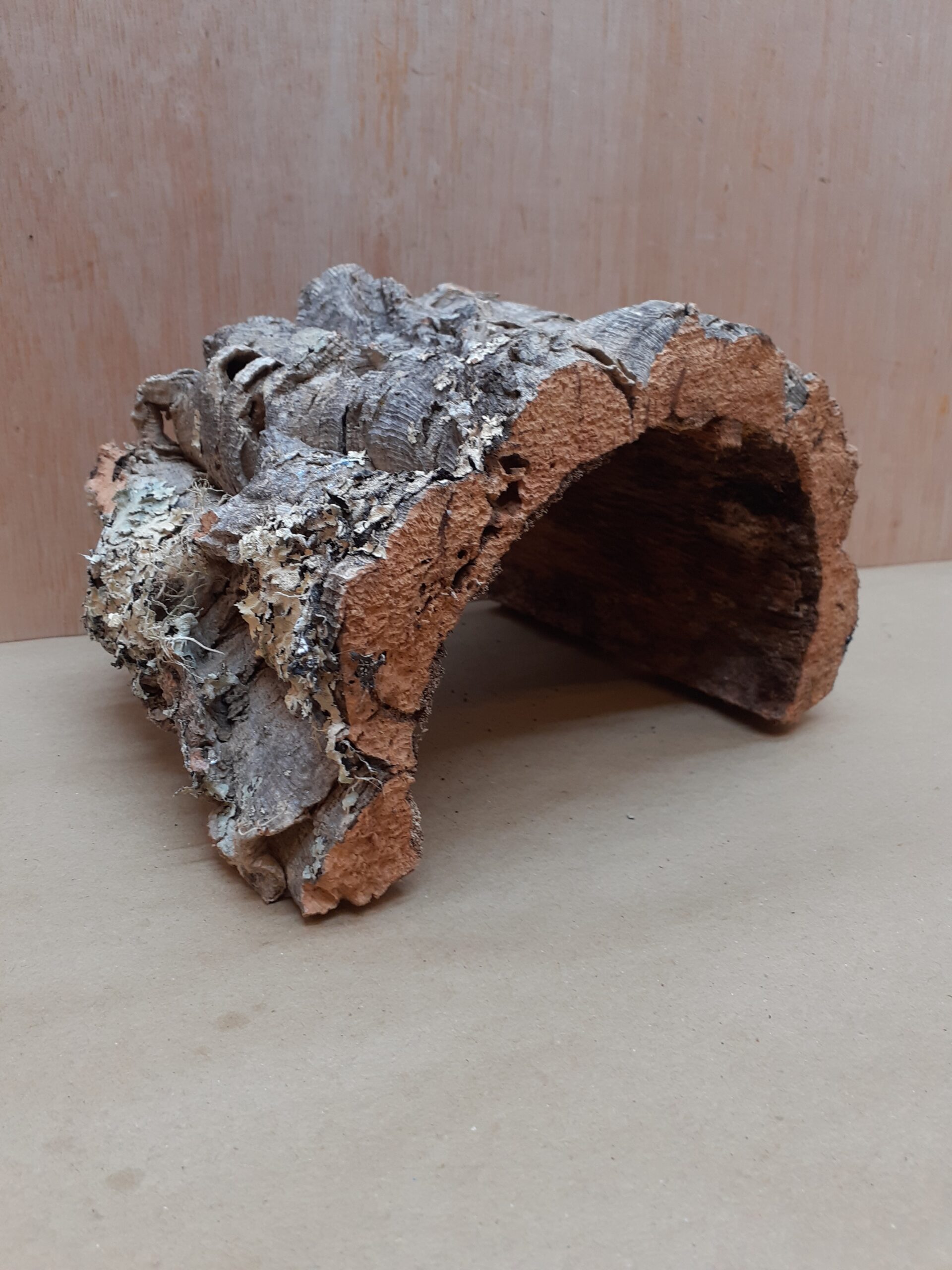 Medium Cork Hide 14
