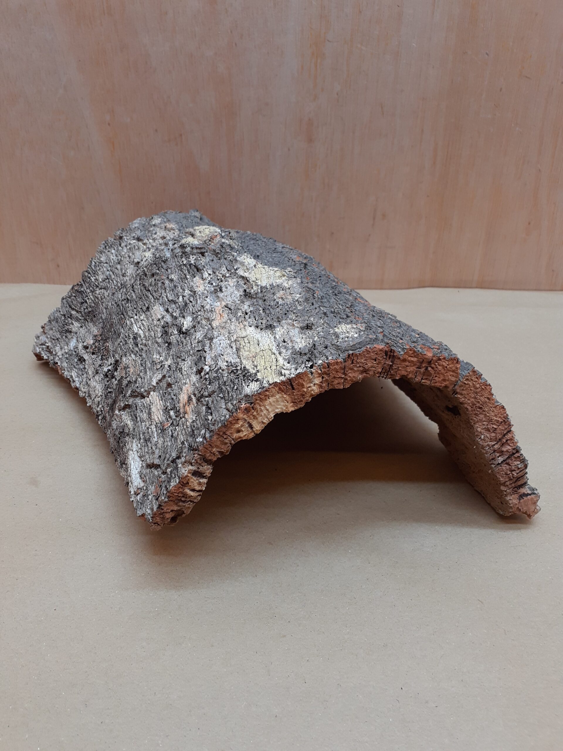 Medium Cork Hide 17