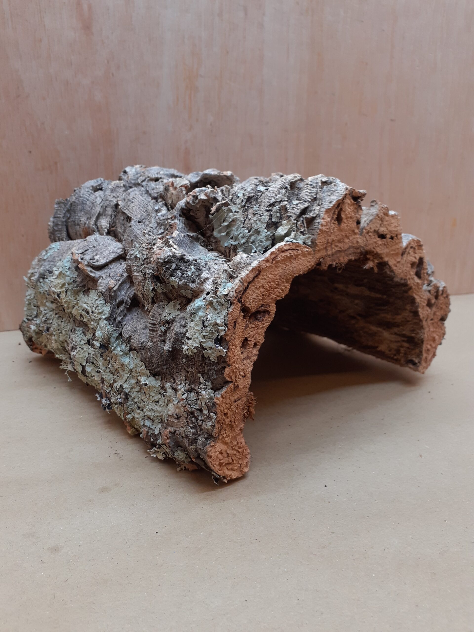 Medium Cork Hide 2