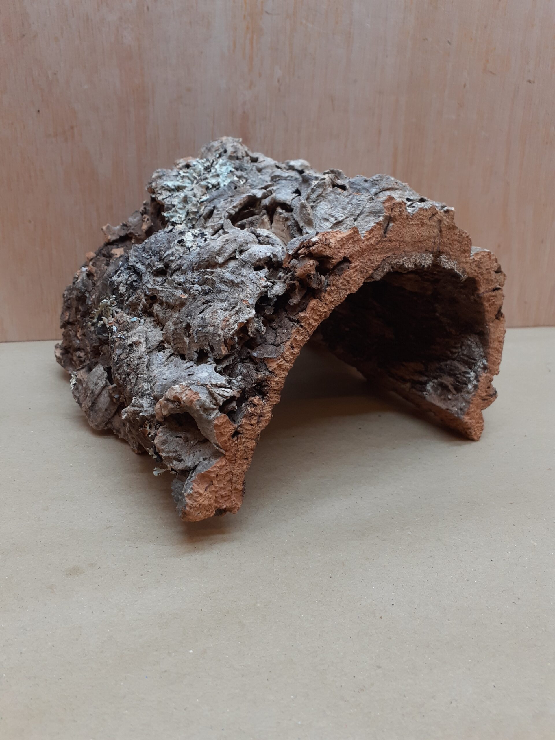 Medium Cork Hide 23