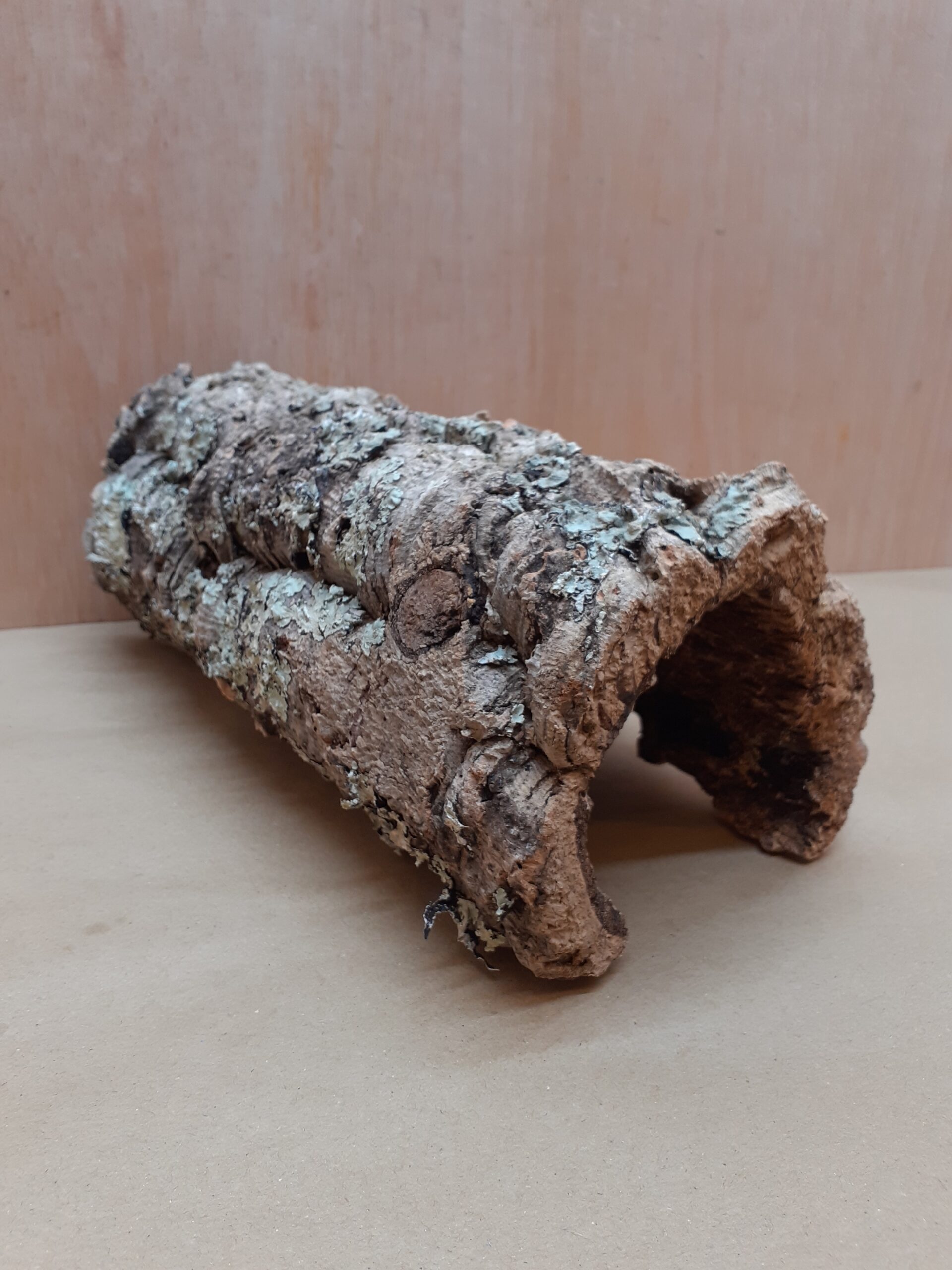 Medium Cork Hide 24