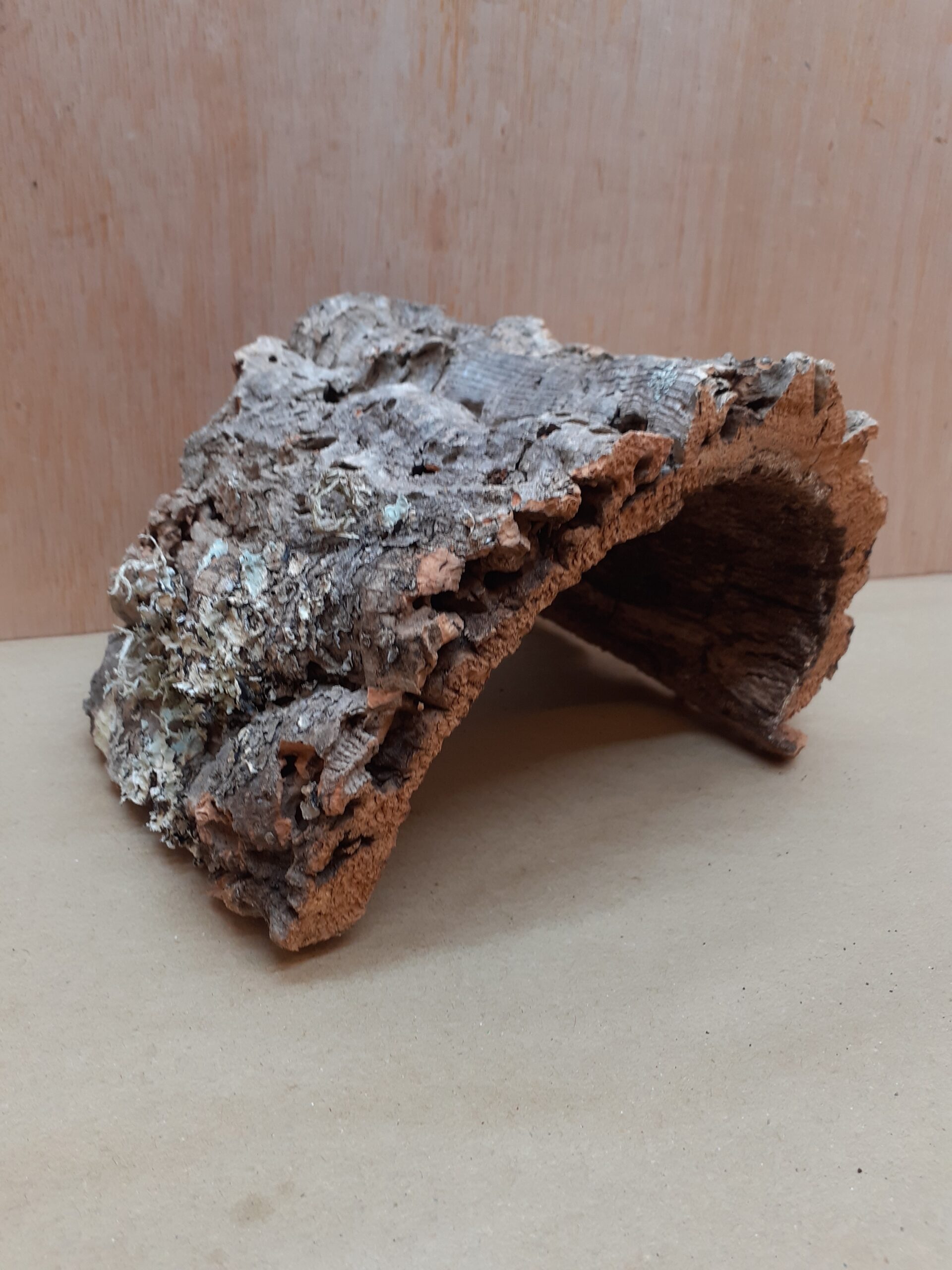 Medium Cork Hide 5
