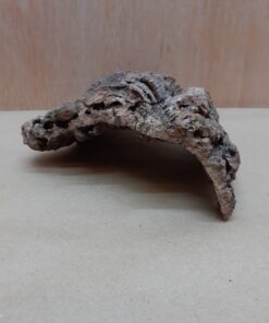 Small Cork Hide 15