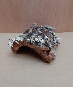 Small Cork Hide 17