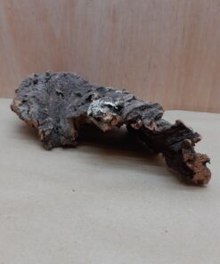 Small Cork Hide 19