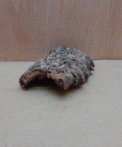 Small Cork Hide 24