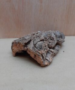 Small Cork Hide 26