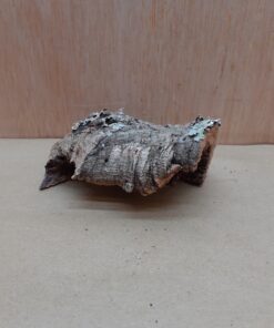 Small Cork Hide 29