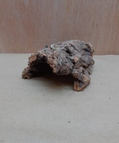 Small Cork Hide 5