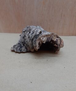 Small Cork Hide 6