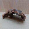 Small Cork Hide 8