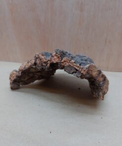 Small Cork Hide 8