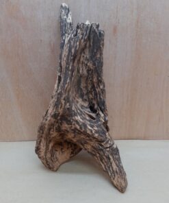 Driftwood - Large 17