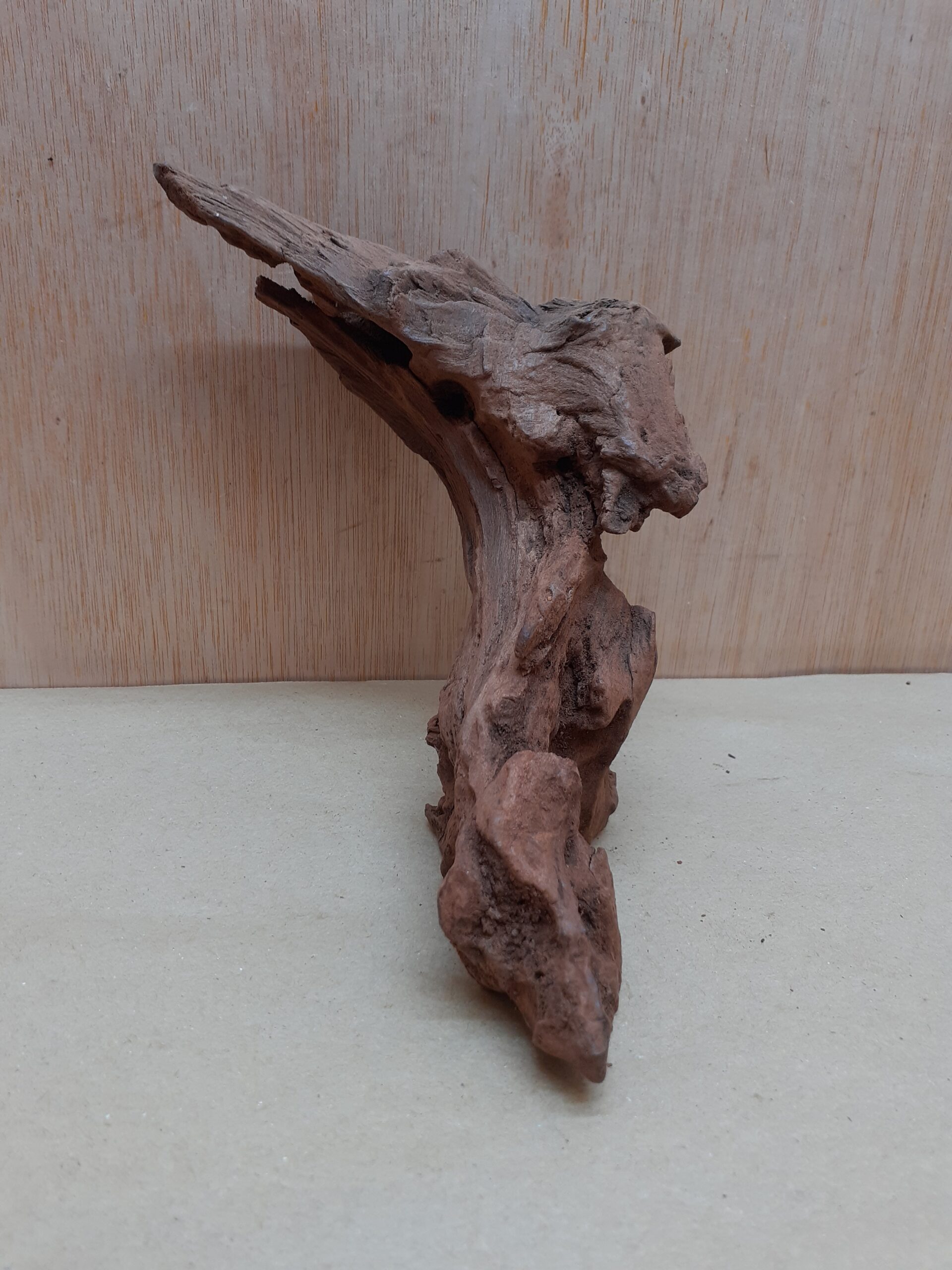 Driftwood - Small 1