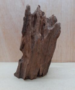 Driftwood - Small 11