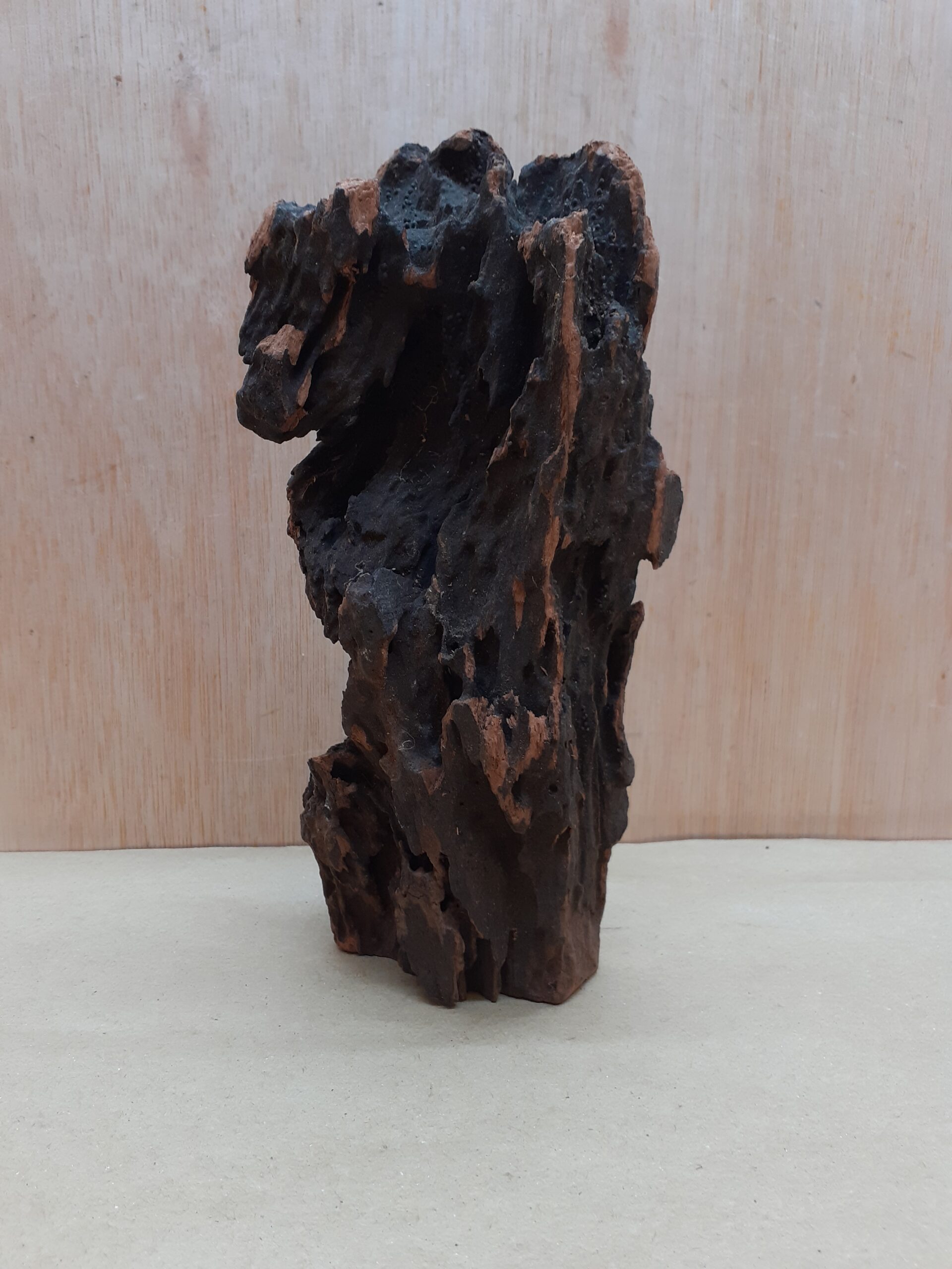 Driftwood - Small 18