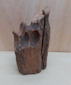 Driftwood - Small 19