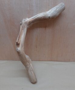 Java Wood - Single Stem - Large 7