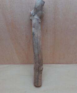 Java Wood - Single Stem - Large 1