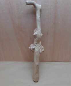 Java Wood - Single Stem - Large 2