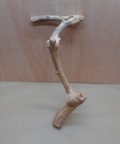 Java Wood - Single Stem - Large 11