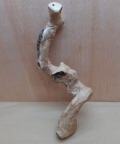 Java Wood - Single Stem - Large 9