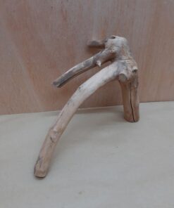 Java Wood - Double Stem - Small 6