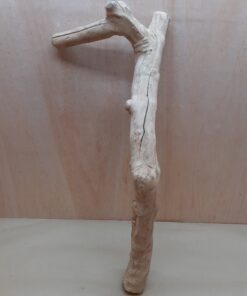 Java Wood - Single Stem - XL 14