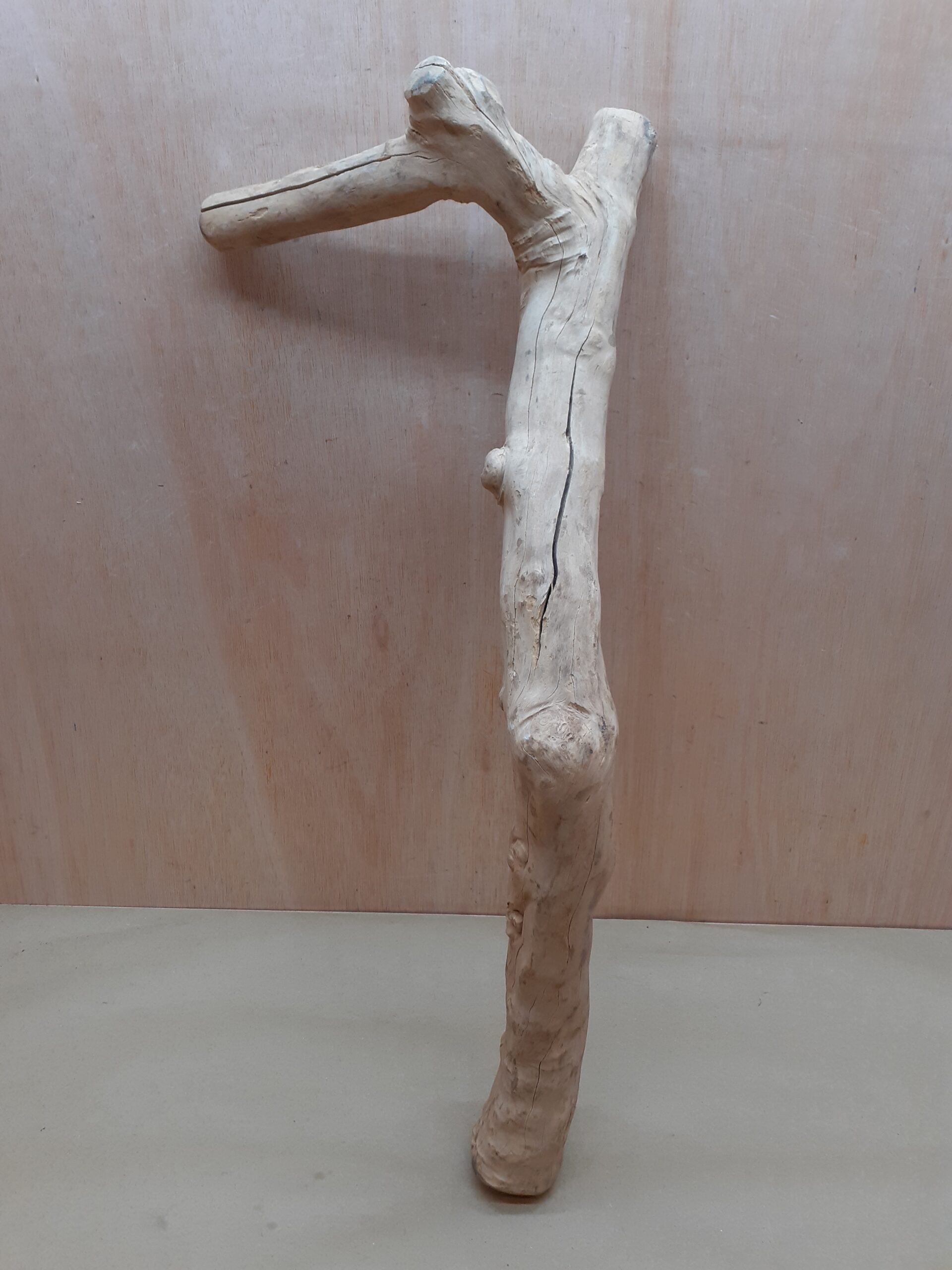 Java Wood - Single Stem - XL 14