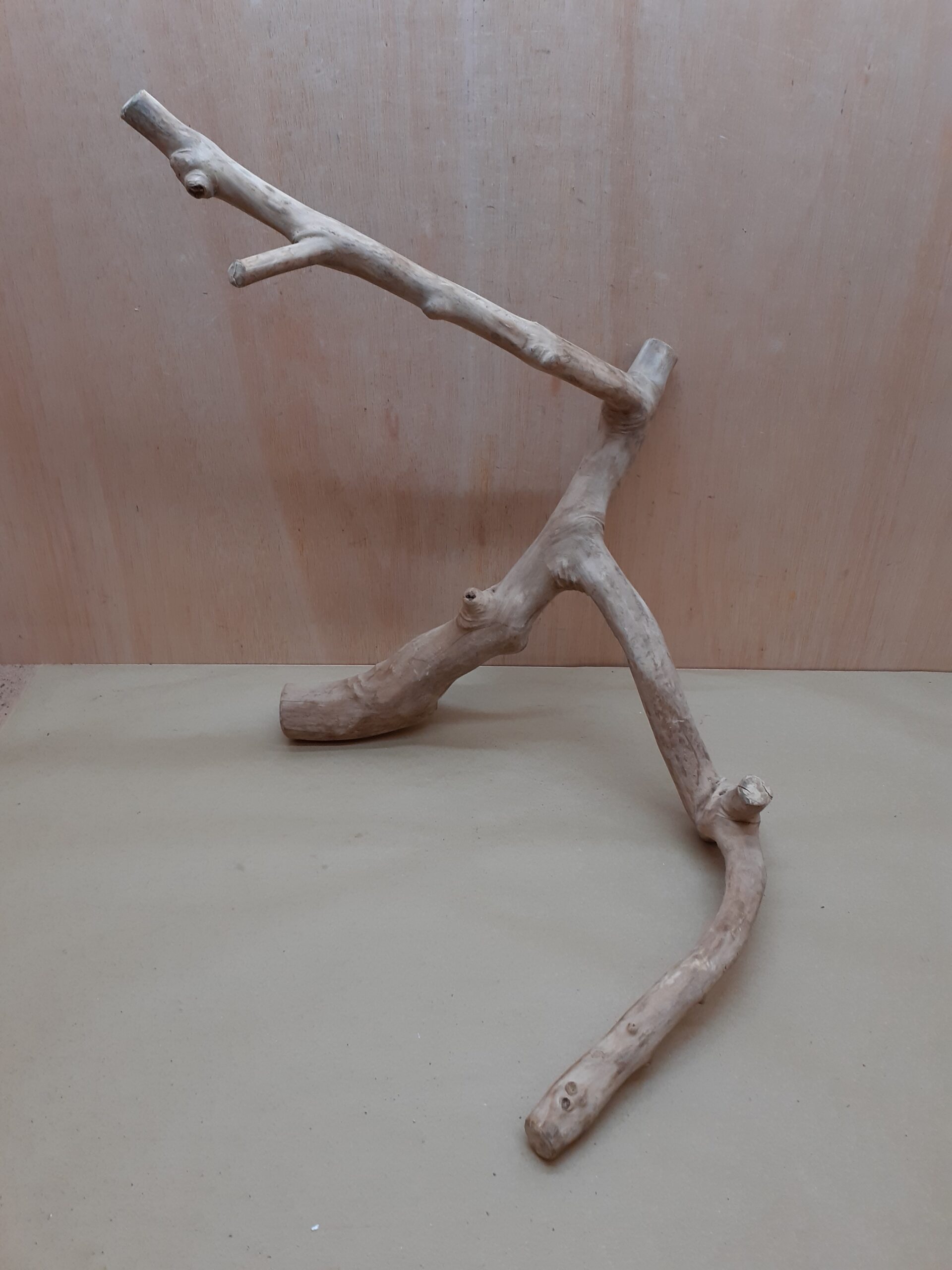 Java Wood - Double Stem - XXL 5
