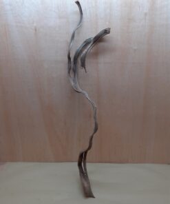 Curved Liana - Long - 16