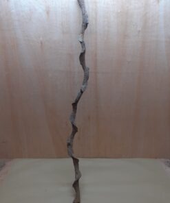 Curved Liana - Long - 15